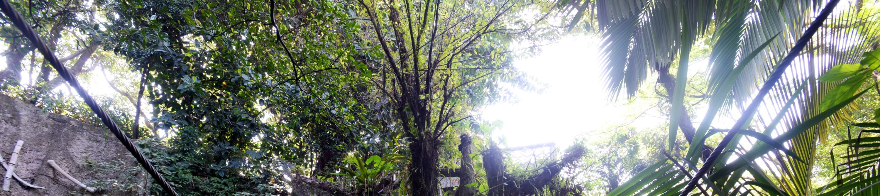 โรงแรมเซินเจิ้น ชิงชิง เวิลด์