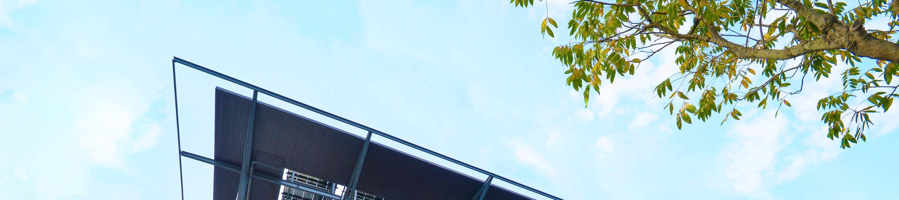 Restaurante Yilan Anyongxin: Paquete de entrada y experiencia