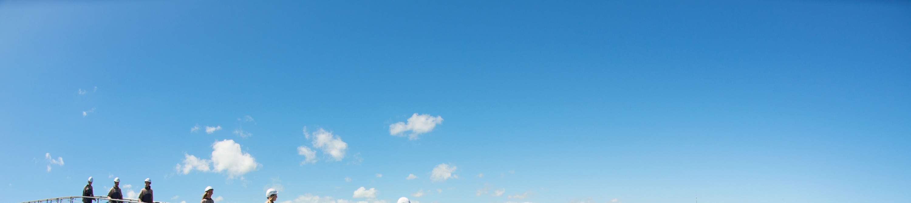 Escalada al Puente del Puerto de Auckland