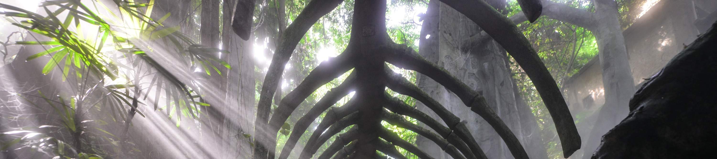 โรงแรมเซินเจิ้น ชิงชิง เวิลด์