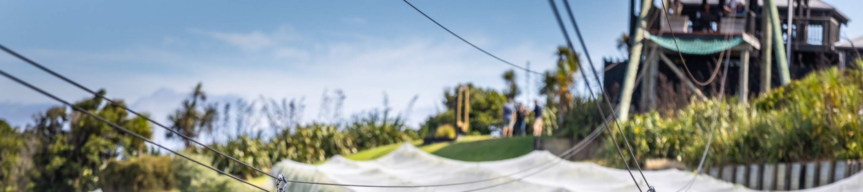 Экологичные туристические впечатления