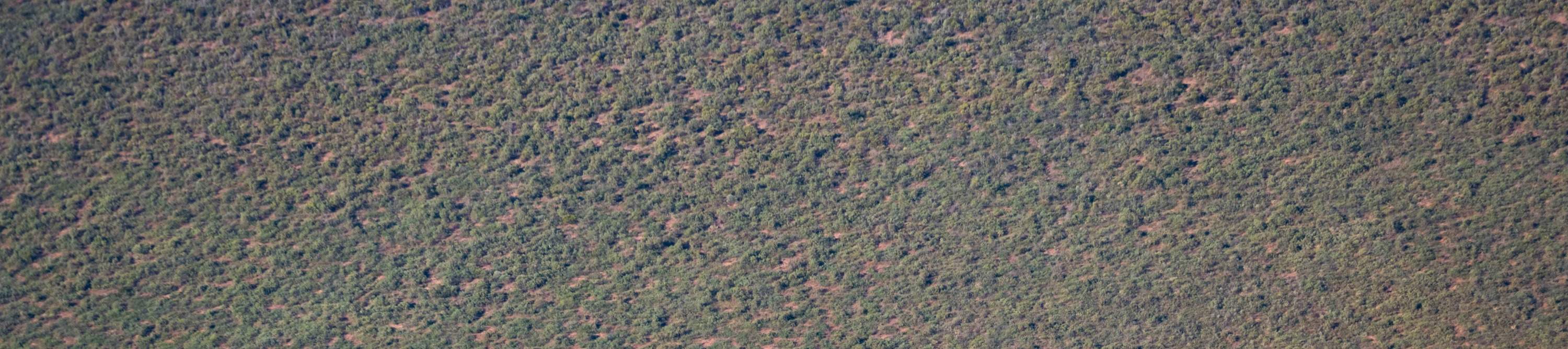 Excursión aérea a Broome y Kimberley con las cascadas horizontales