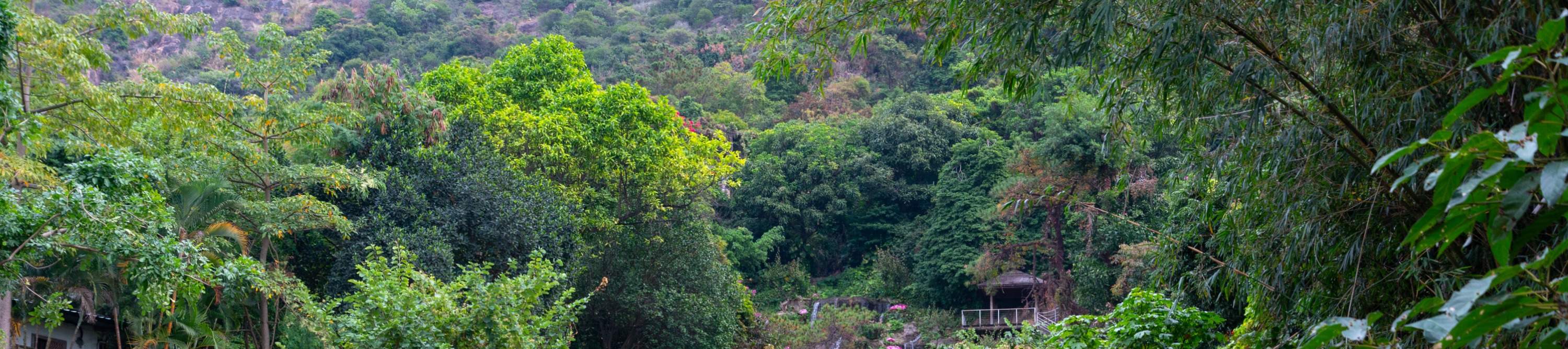 โรงแรมเซินเจิ้น ชิงชิง เวิลด์