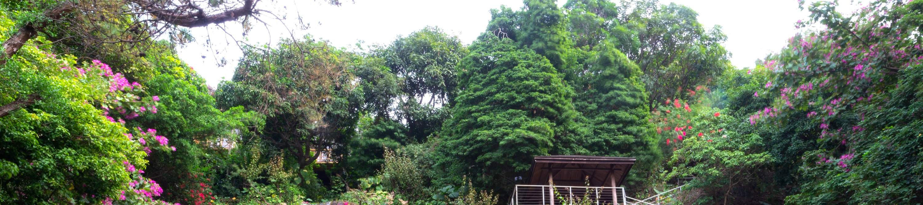 โรงแรมเซินเจิ้น ชิงชิง เวิลด์