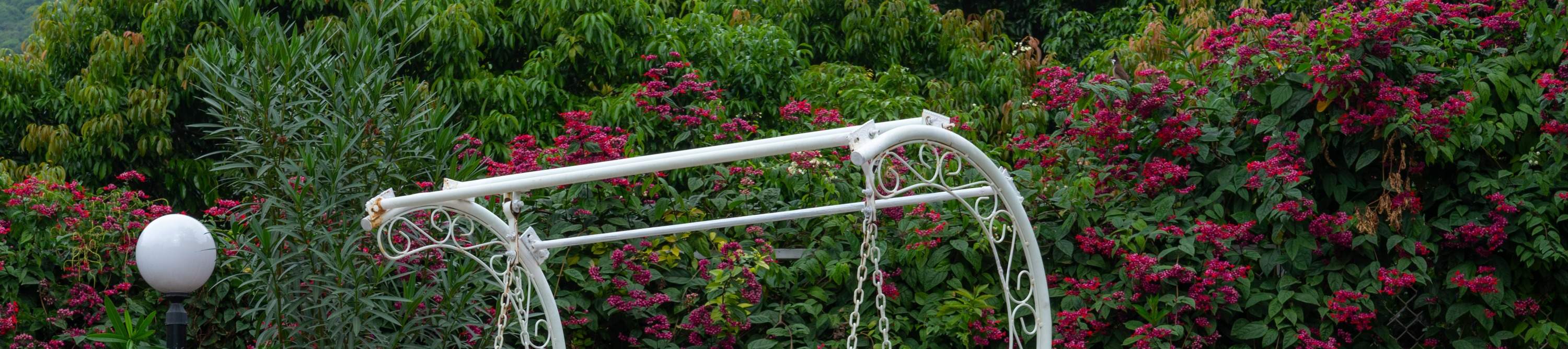 โรงแรมเซินเจิ้น ชิงชิง เวิลด์