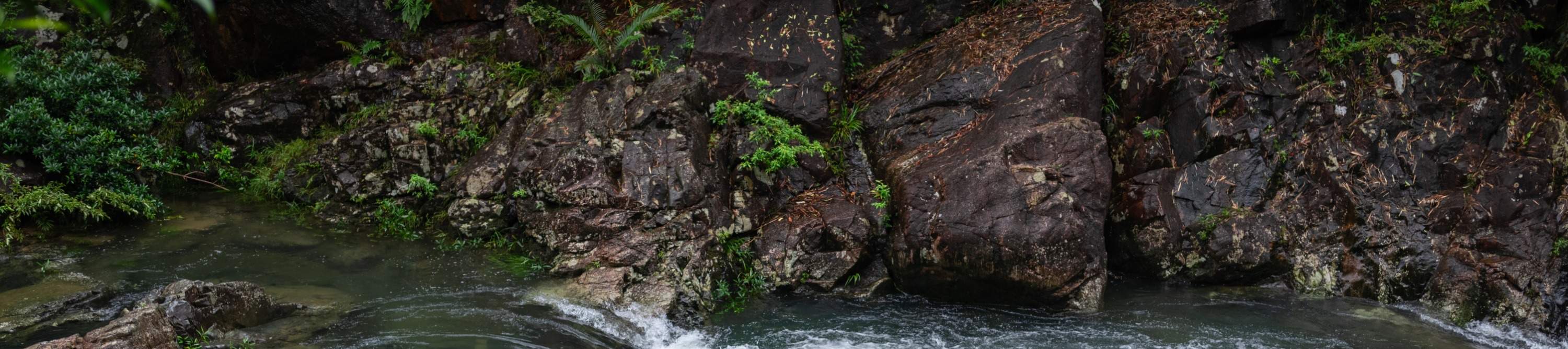 Le ruisseau gargouille, chaque pas est un paysage, chaque respiration est fraîche.