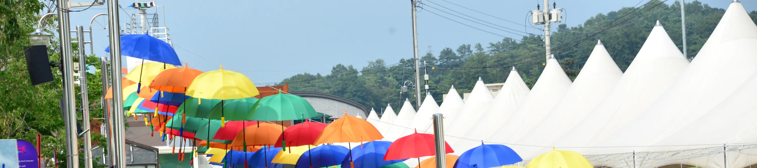 排队骑轨道自行车