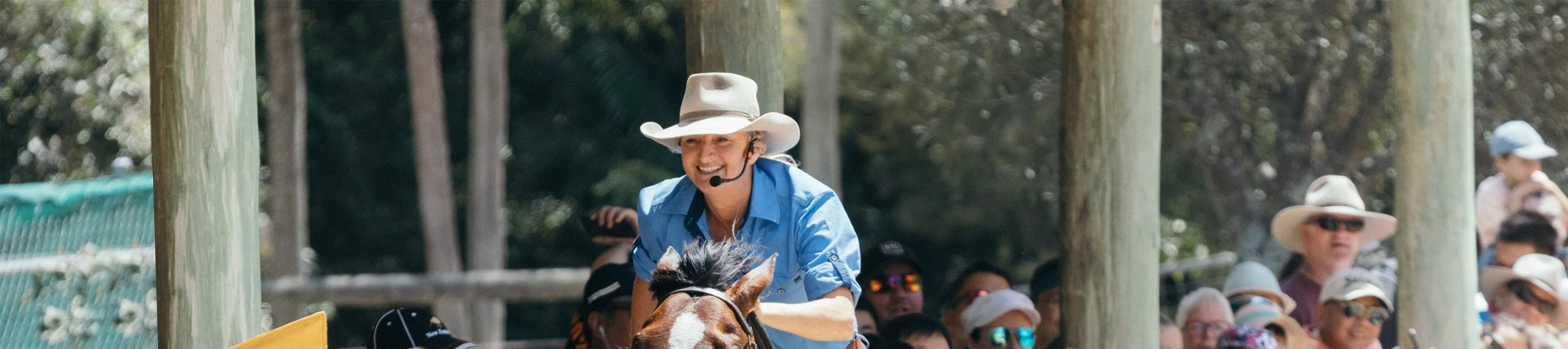 숨 막힐 듯 아름다운 스톡홀스 쇼를 관람하며, 인상적인 기술과 기수와 말 사이의 교감을 느껴보세요.