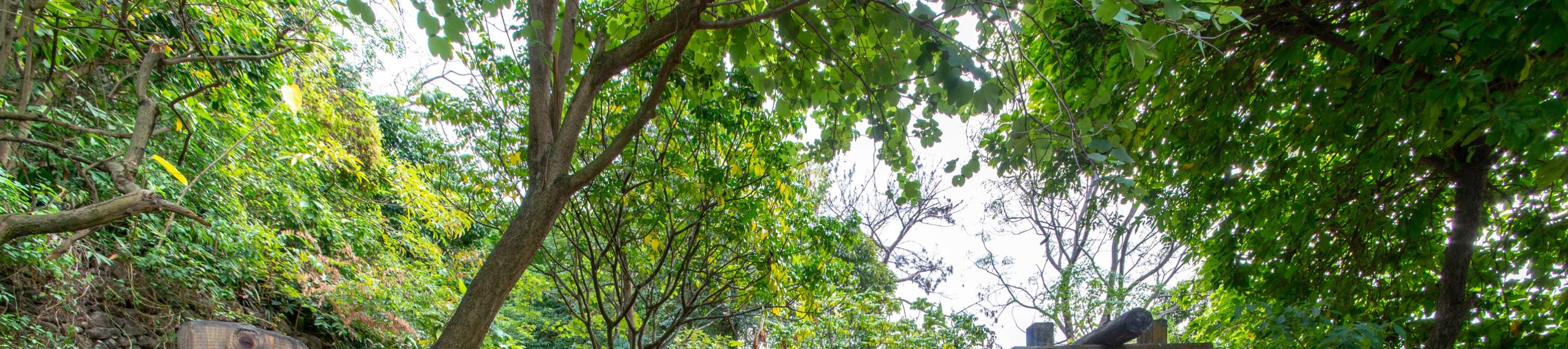 โรงแรมเซินเจิ้น ชิงชิง เวิลด์