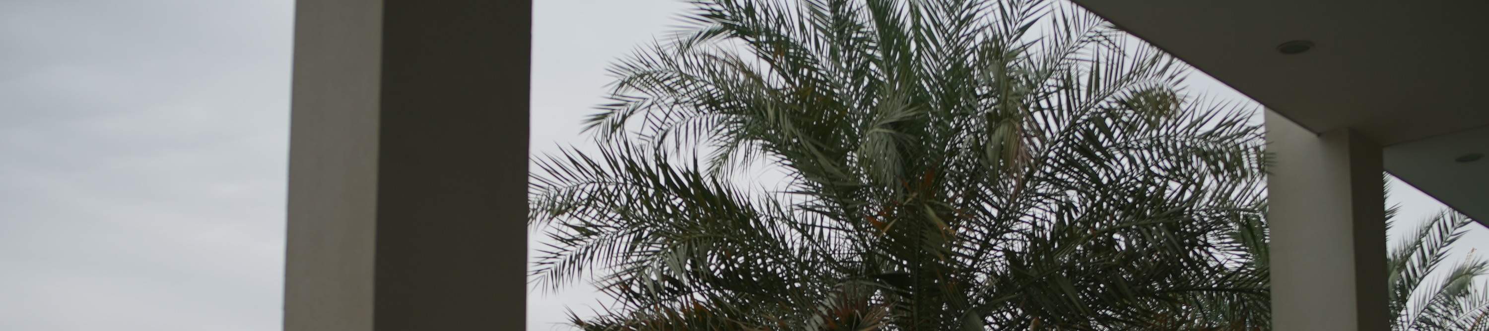 สระว่ายน้ำ