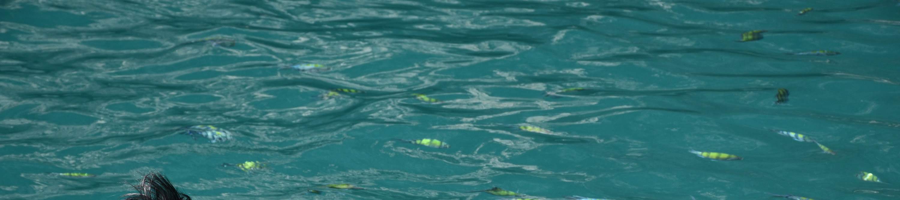 Join In 4 Island Snorkel To Emerald Cave By Big Boat From Koh Lanta in krabi Klook United States