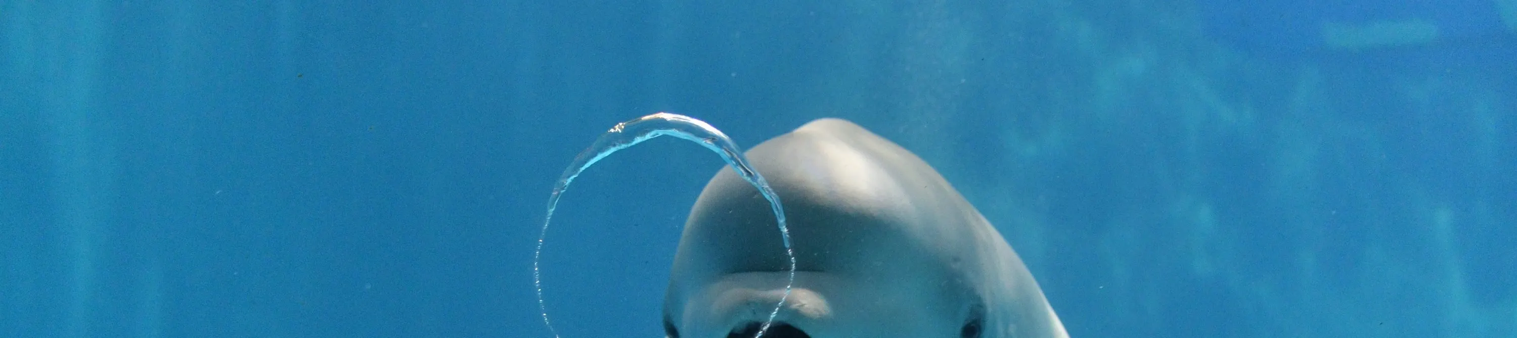 名古屋港水族馆