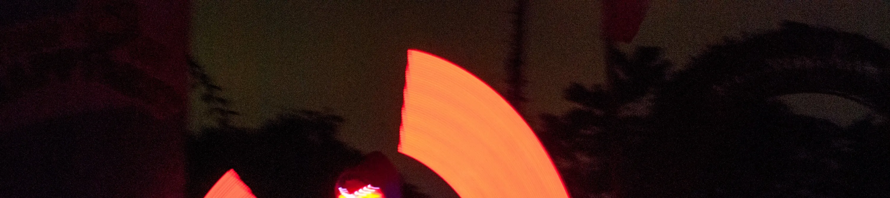 动物圈夜猫子