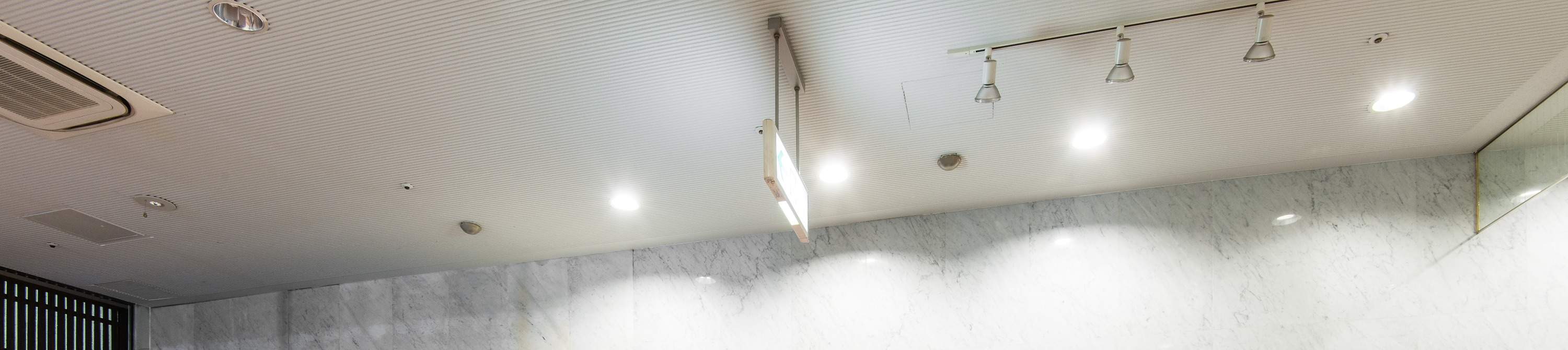 Billet pour la source d'eau chaude naturelle Heiwajima à Tokyo