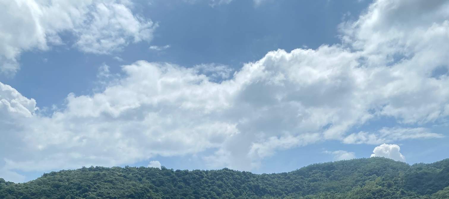 花蓮：鯉魚潭カヌー体験（インストラクター付き）