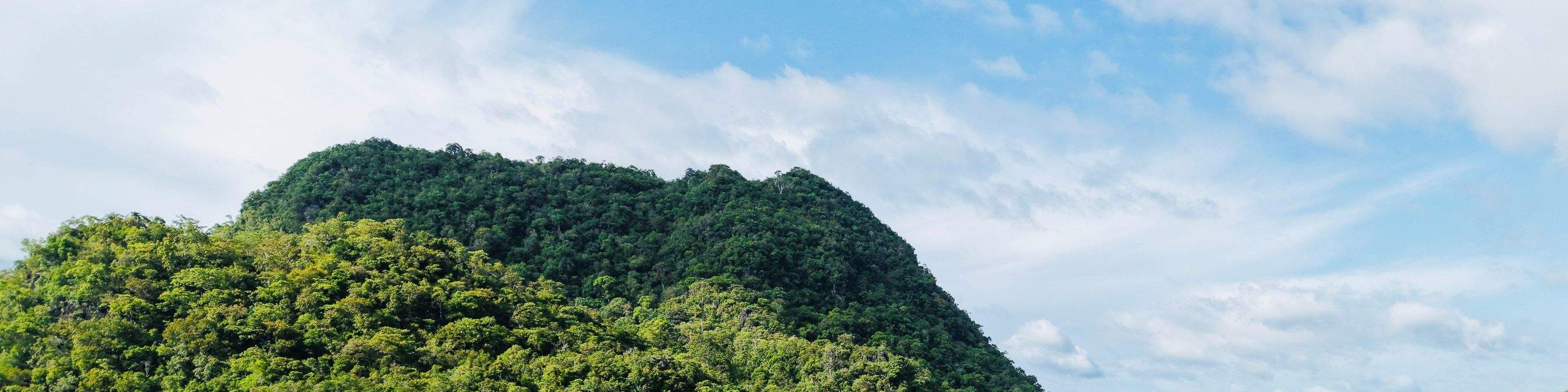 兰卡威私人水上飞车红树林独木舟之旅