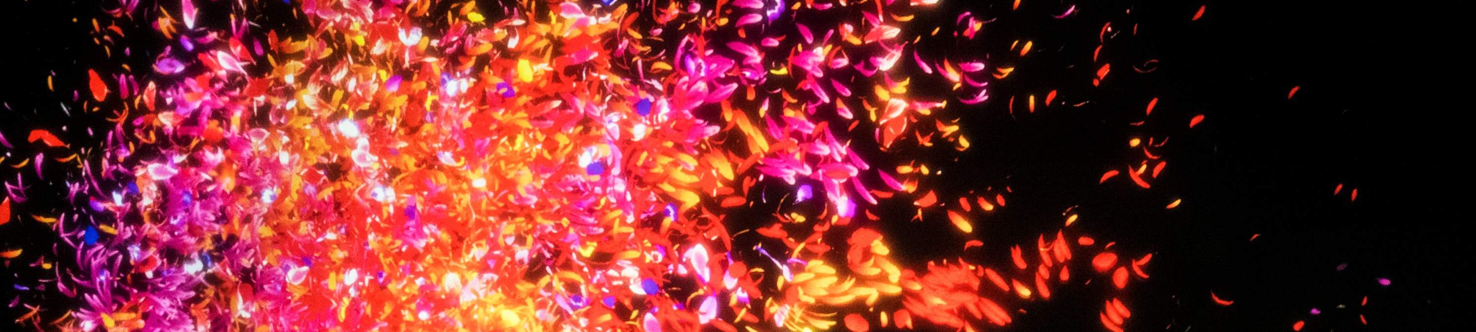 Animals of Flowers, Symbiotic Lives II