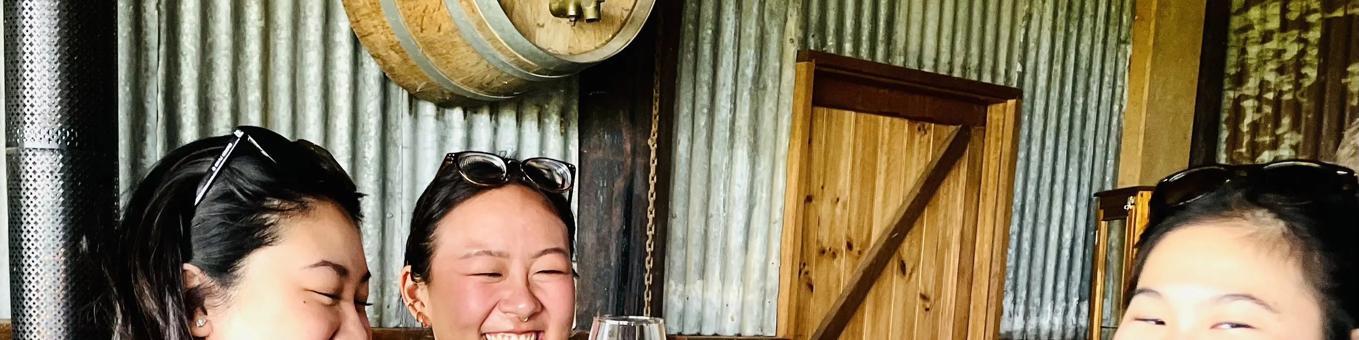 亚拉河谷酒庄之旅，包括葡萄酒、杜松子酒、苹果酒和奶酪