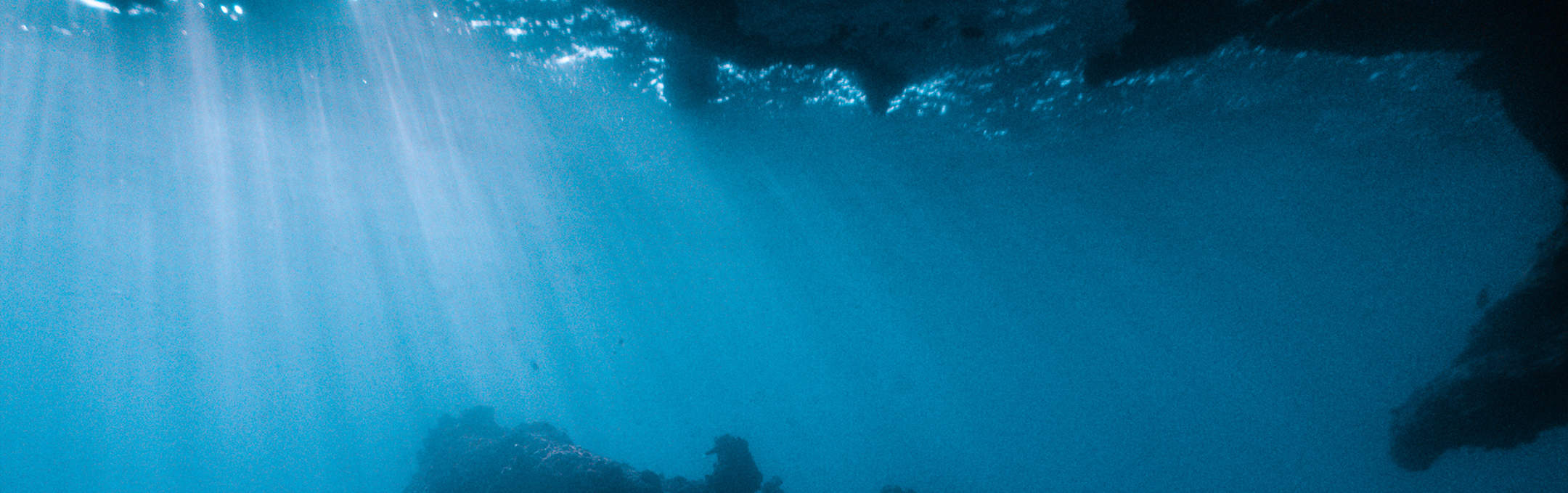 Морской мир