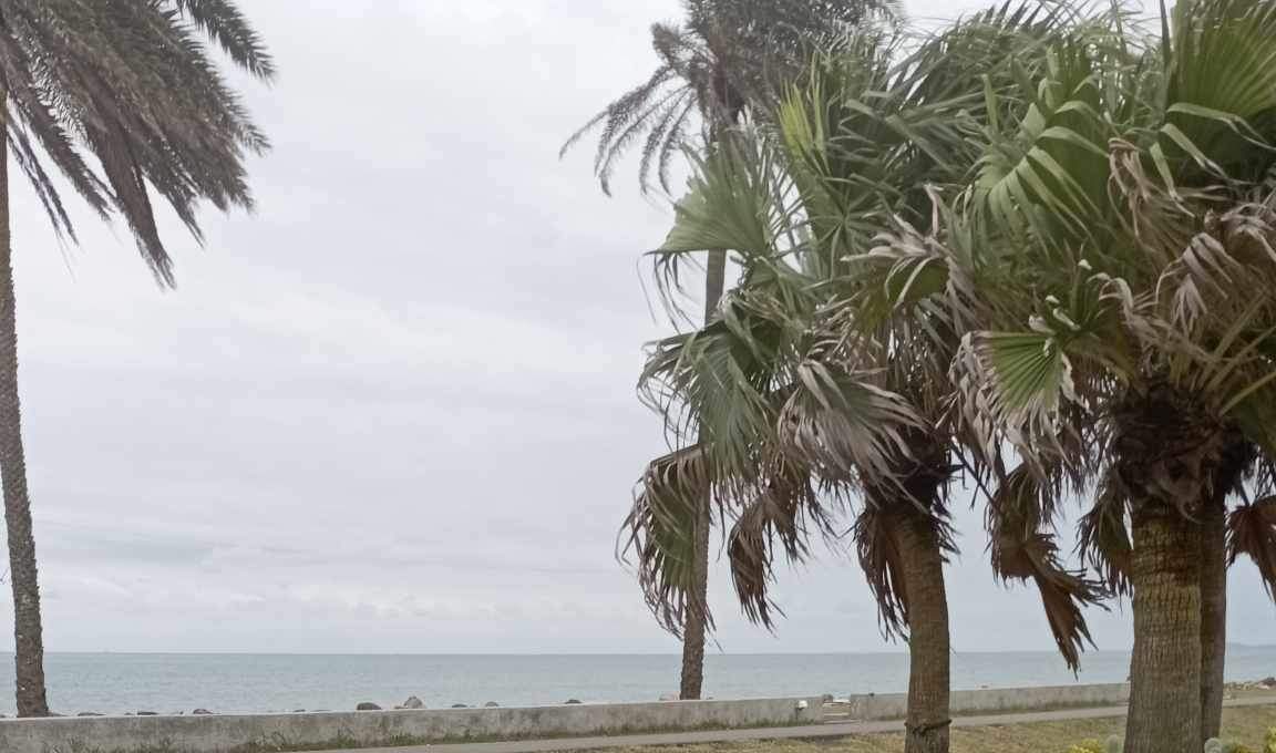 宜兰: 头城滨海森林公园骑马 (无敌海景漫步)