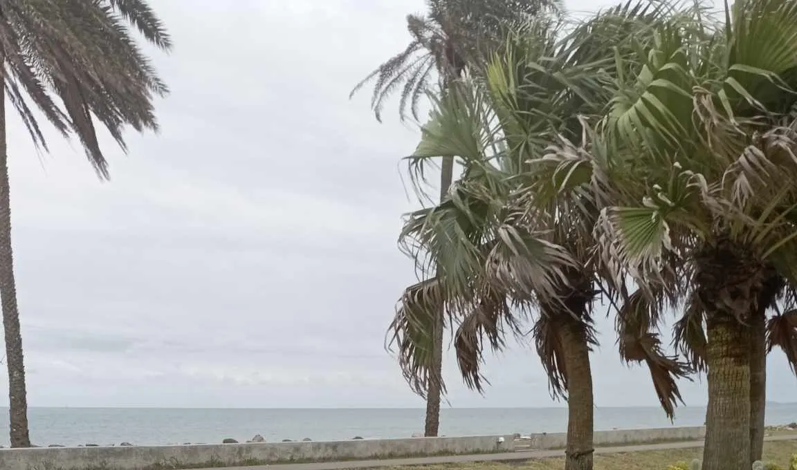 宜兰: 头城滨海森林公园骑马 (无敌海景漫步)