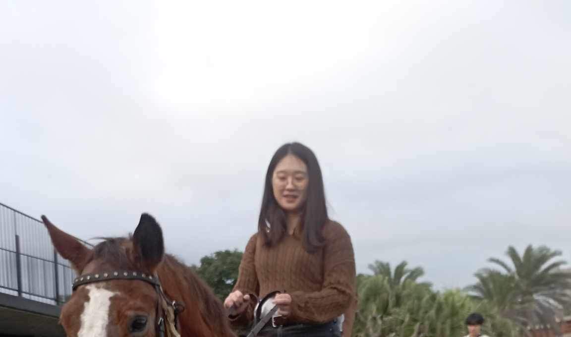 宜兰: 头城滨海森林公园骑马 (无敌海景漫步)