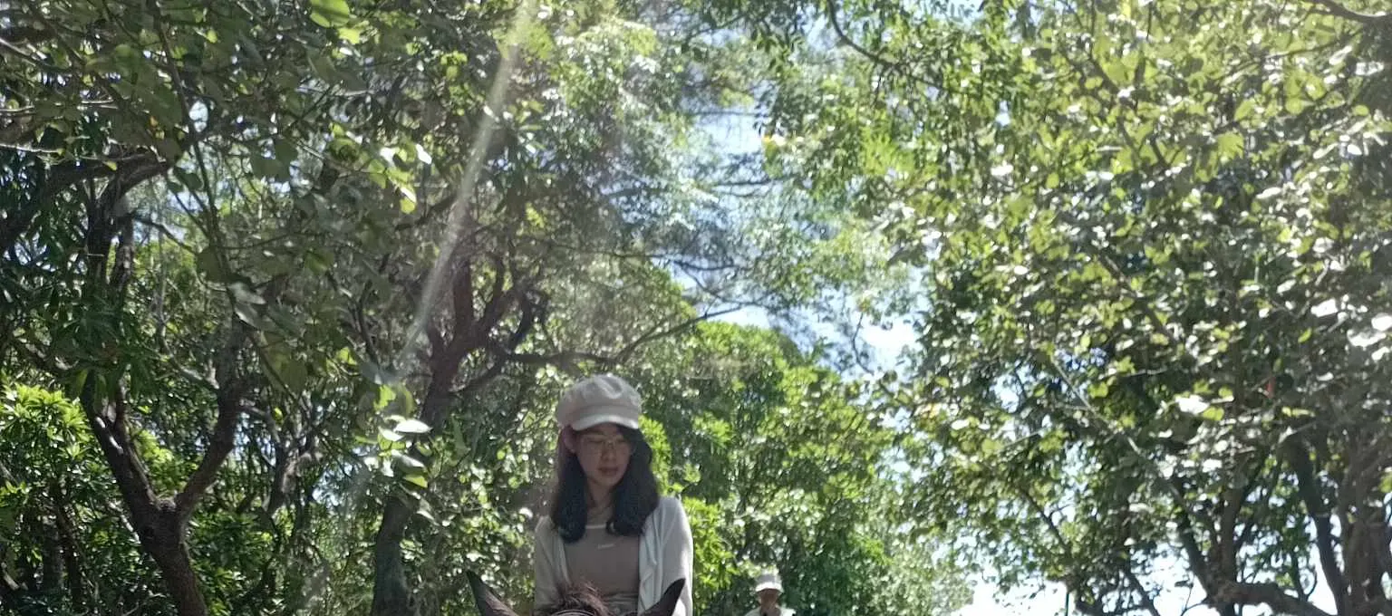 Yilan: Horseback Riding in Toucheng Binhai Forest Park (Walking with Invincible Sea View)