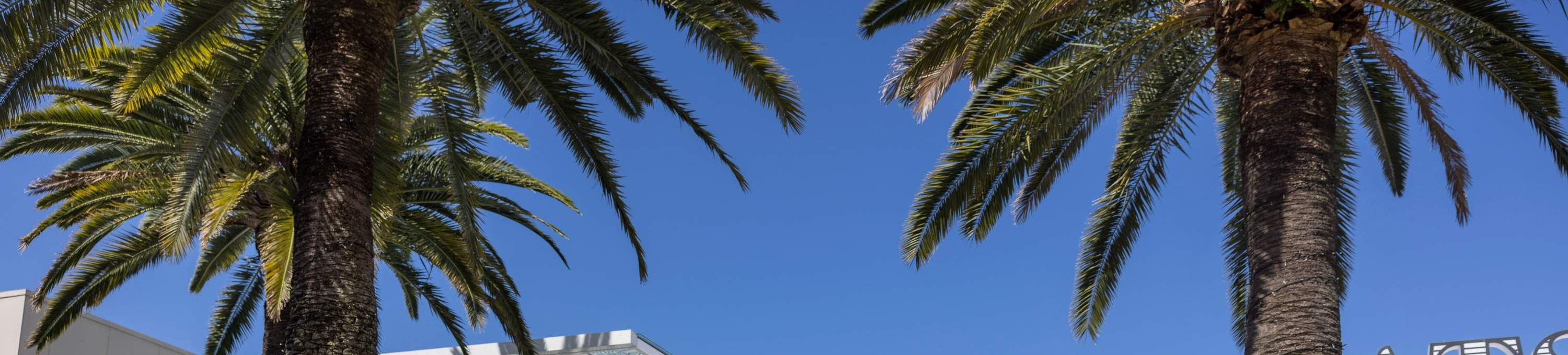 ハーバータウン