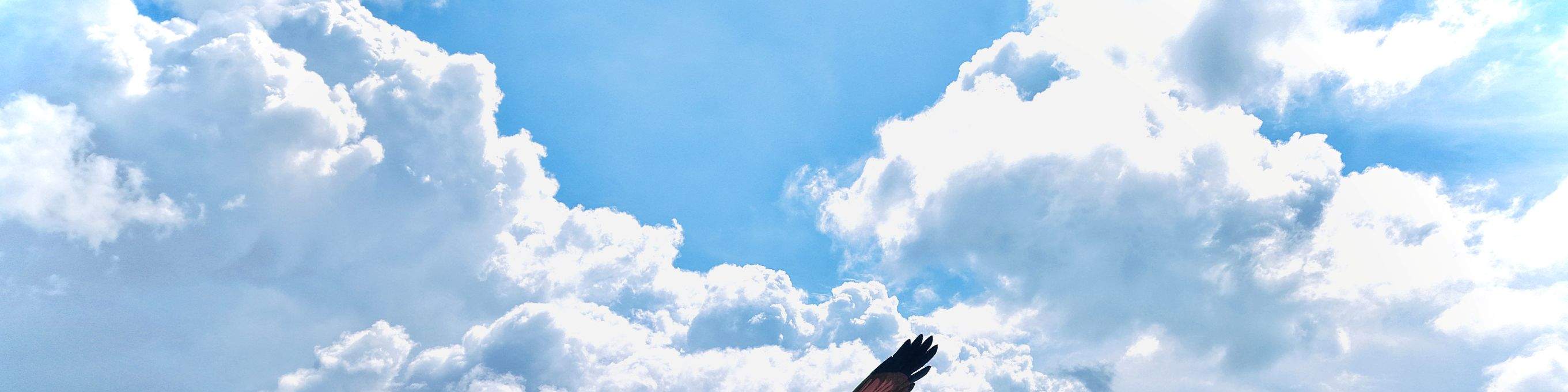 Private Jetcar Mangrove Tuba Tour in Langkawi 