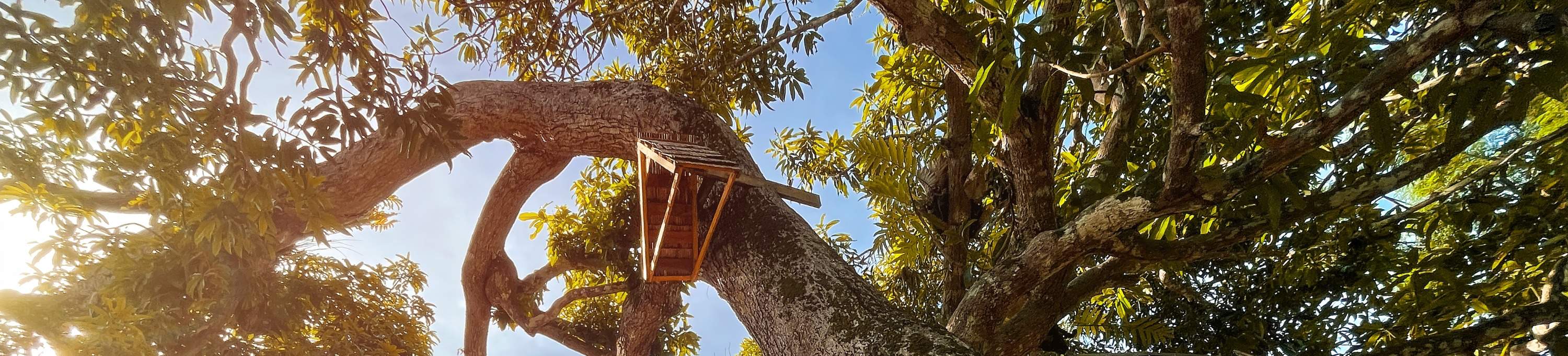 사우스 팜 당일 이용권