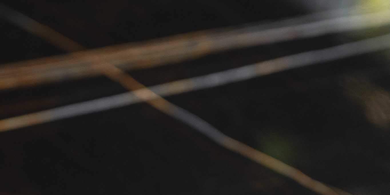 PengYou Chinese Cuisine & Specialty Bar at Ekkamai 