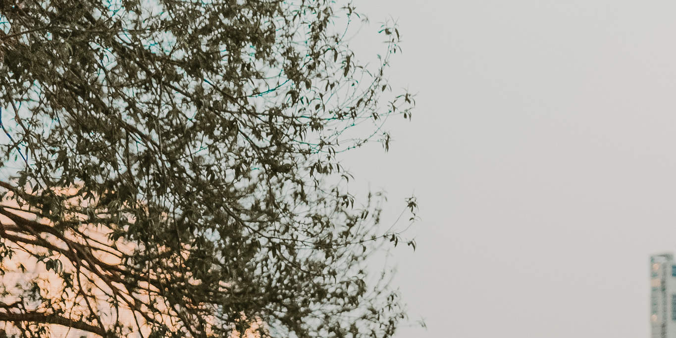 서프라이즈 프러포즈 사진 촬영 & 기획