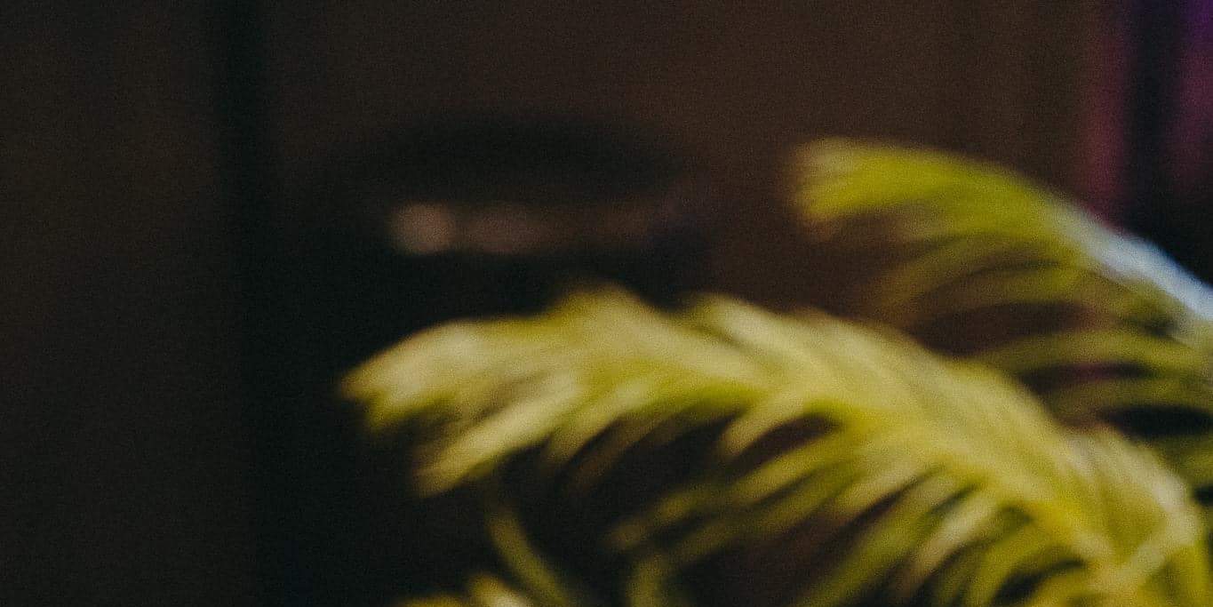 Flashback Rooftop Bar 高空景觀餐廳：盡享美食與精釀雞尾酒