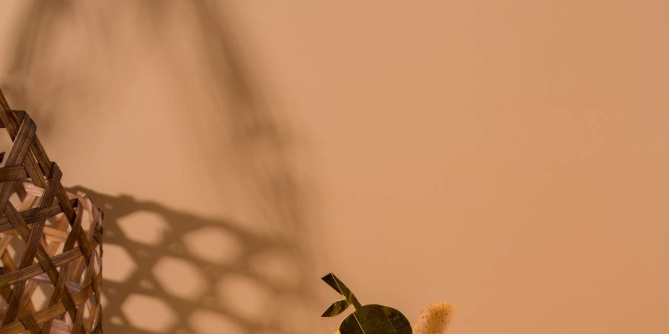 Mango Sundae with Thai crispy roll and rice cracker T5 Set
