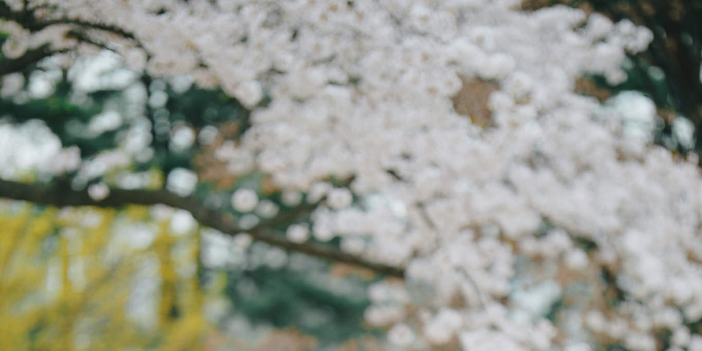Sewa Hanbok dengan Penataan Rambut & Aksesori di Hanbokgirls