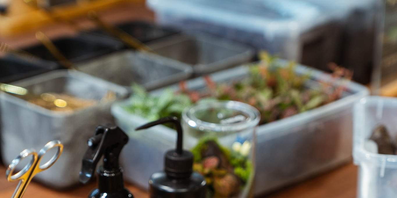 Bengkel DIY Terrarium Tanpa Tanah