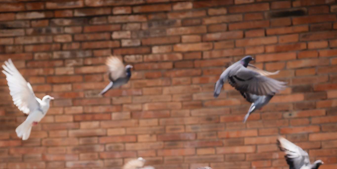 Absolute Thai : Location de costumes thaïlandais à Chiang Mai