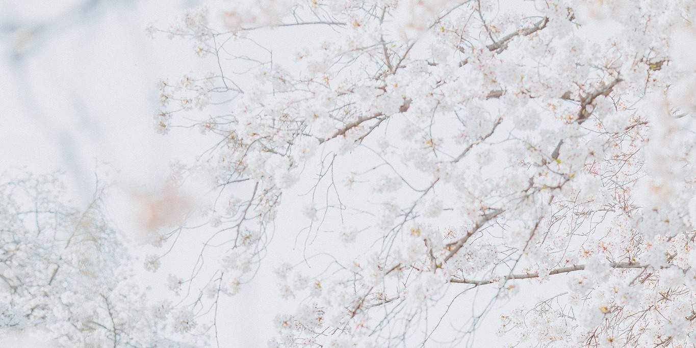 Fotografi perkahwinan Tokyo oleh HANAYAKA