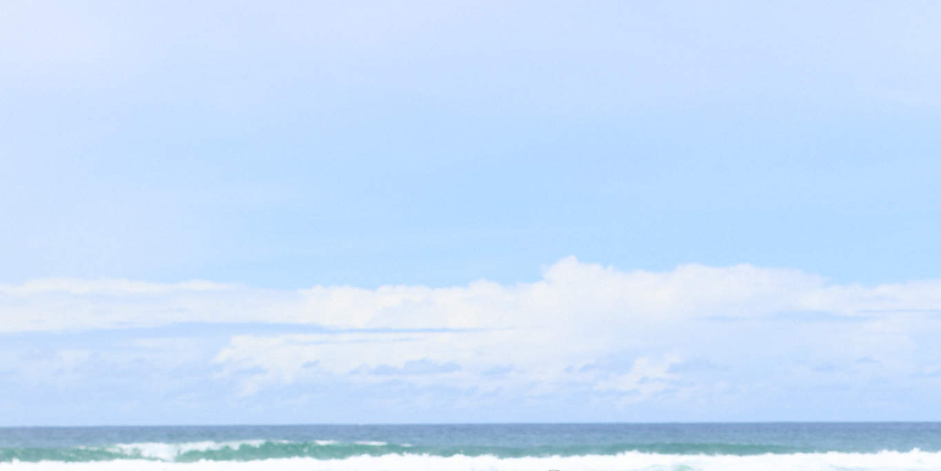 Esperienza di Surf per Principianti in Gold Coast (Età 13+)