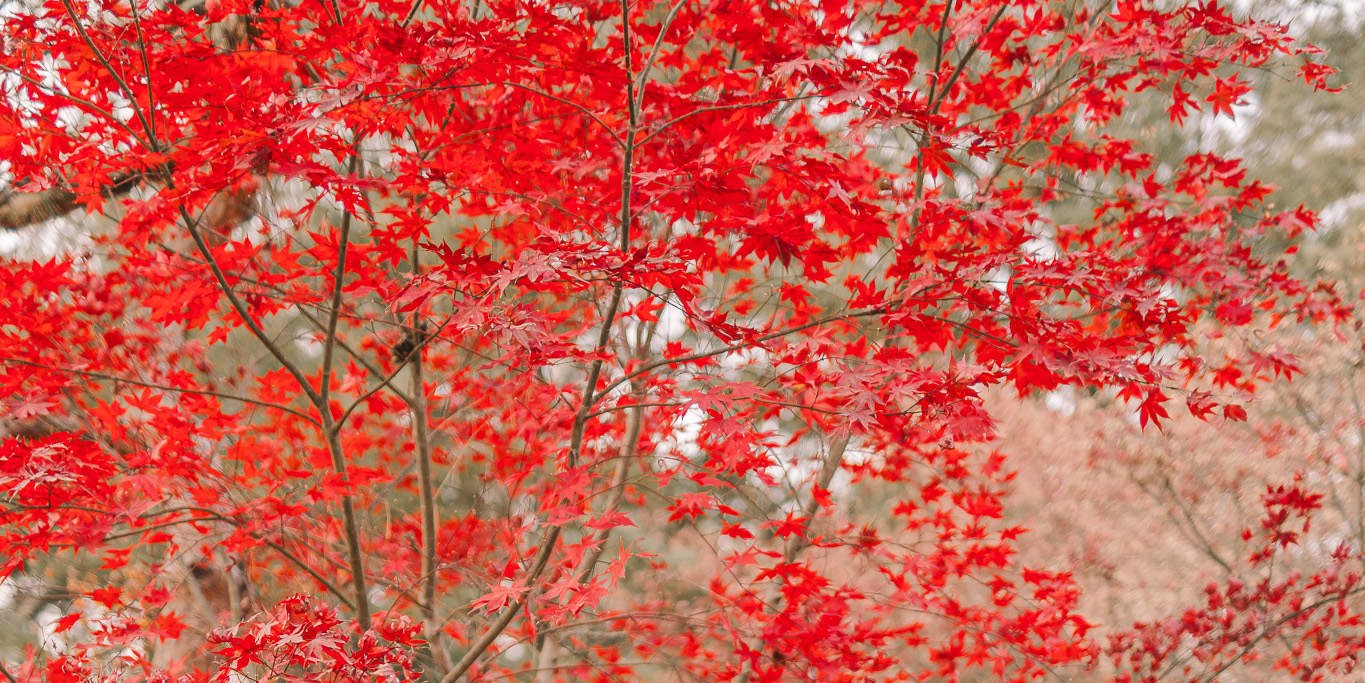 Фотография и планирование неожиданного предложения
