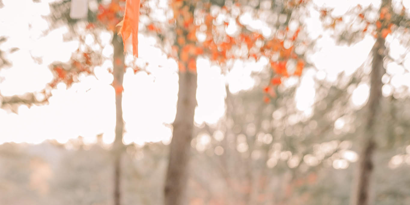 서프라이즈 프러포즈 사진 촬영 & 기획