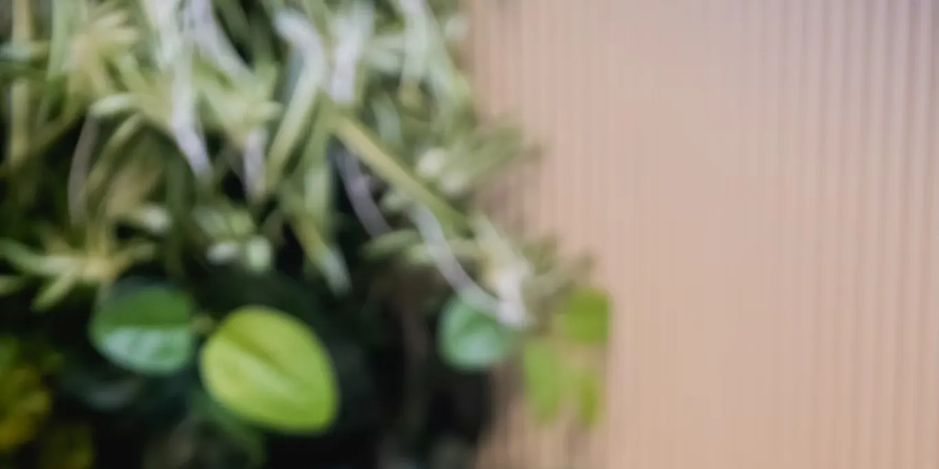 高雄｜天然沐·汗蒸｜需电话预约