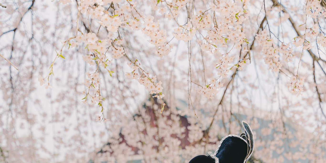 Abadikan momen berharga selamanya dengan sesi foto!