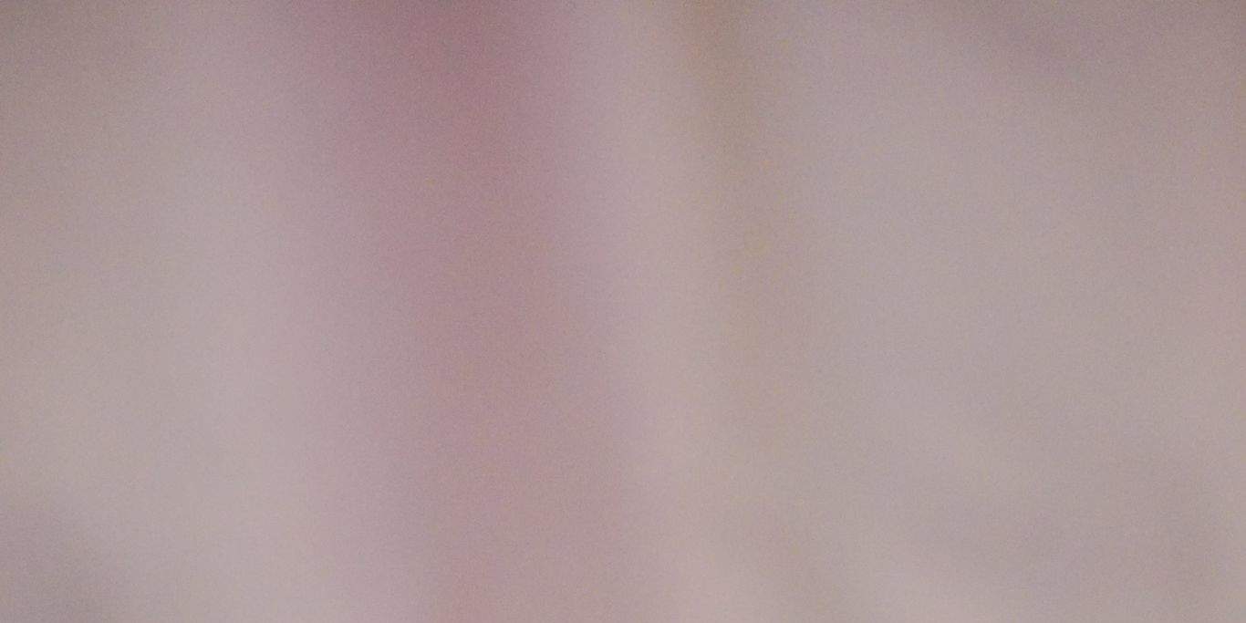 Bunga yang diawet dan penutup kaca bunga kering