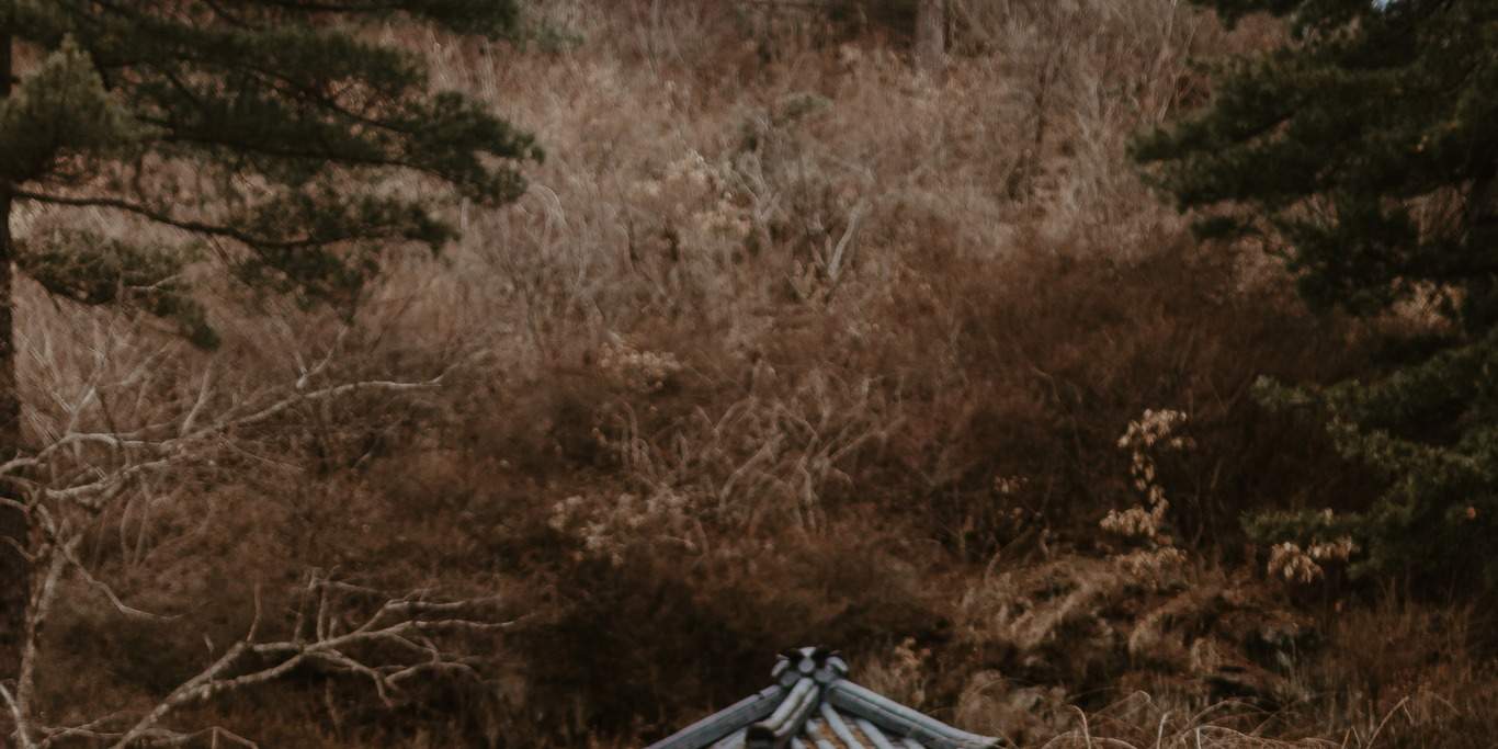 서프라이즈 프러포즈 사진 촬영 & 기획