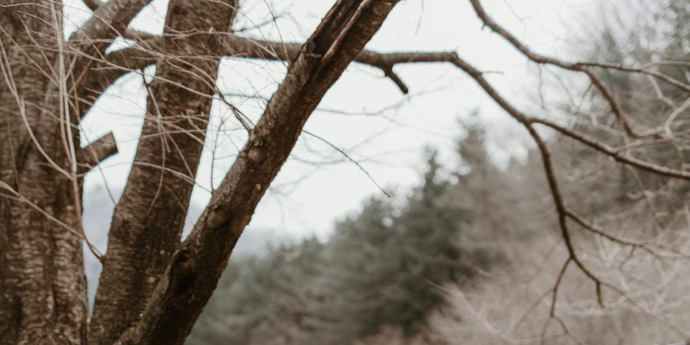 Фотография и планирование неожиданного предложения