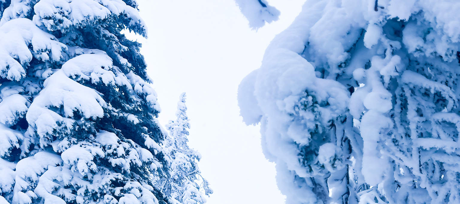 リーシトゥントゥリ国立公園ハイキング