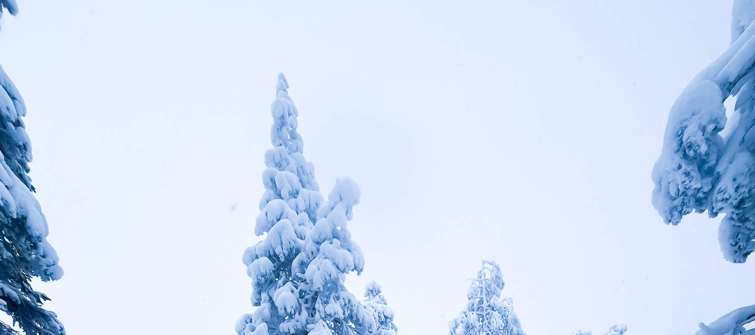 裡西山國家公園（Riisitunturi National Park）徒步之旅