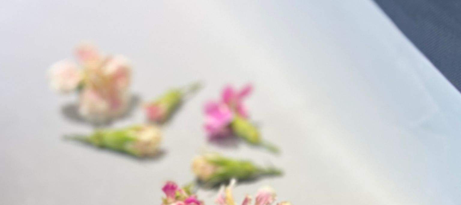 Pelajari cara menangani batang dan menata bunga untuk bunga kering dan diawetkan