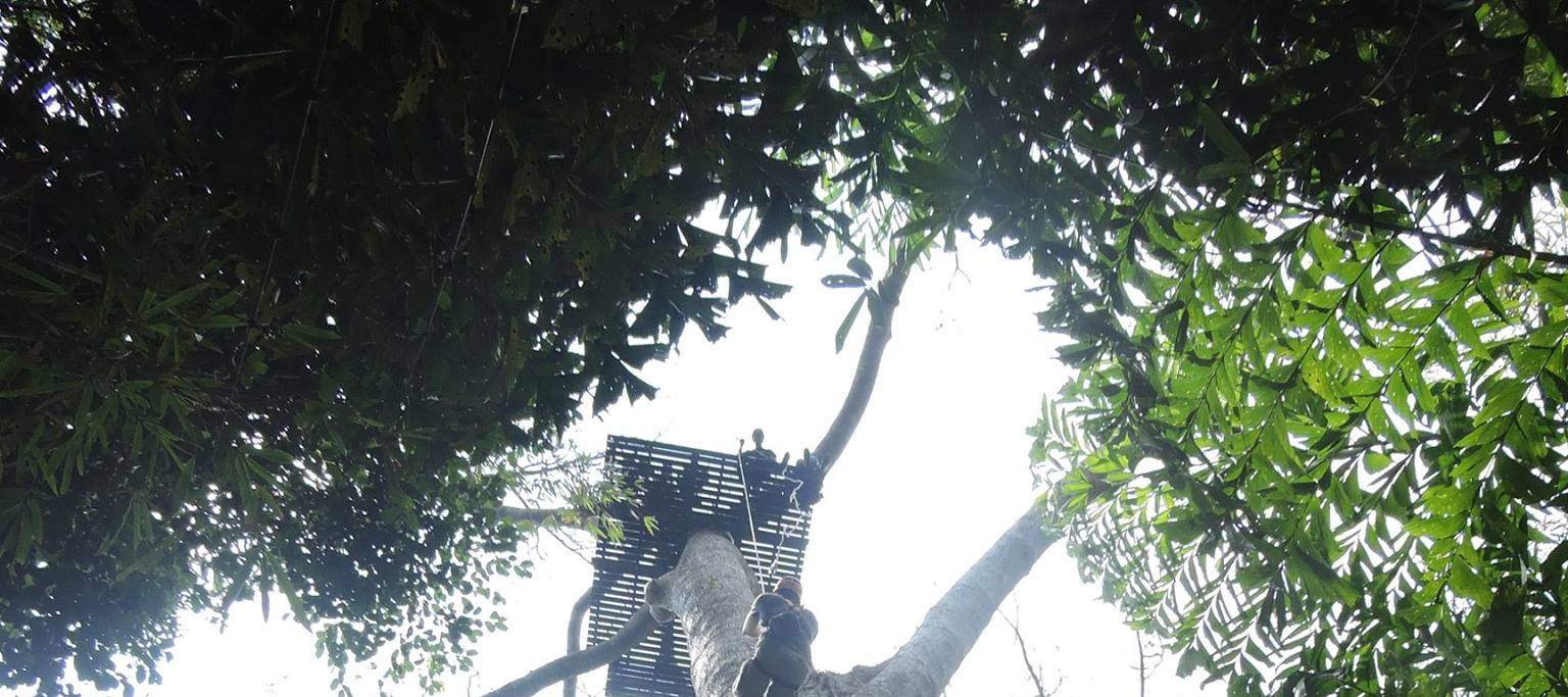 普吉岛滑索体验